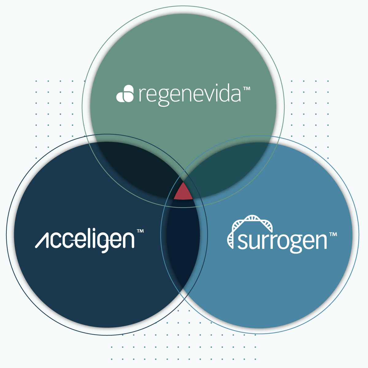 Subs-image-retina susidiaries