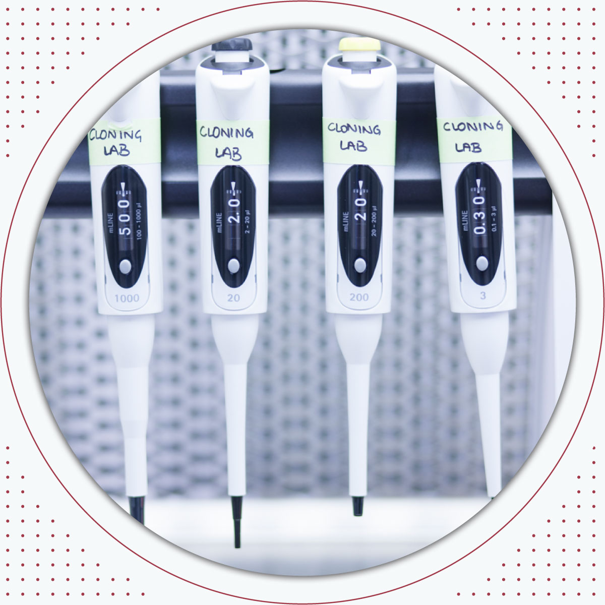 Surreogen-Pipeline-1200 Cloning Stims